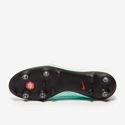 Gallery_3