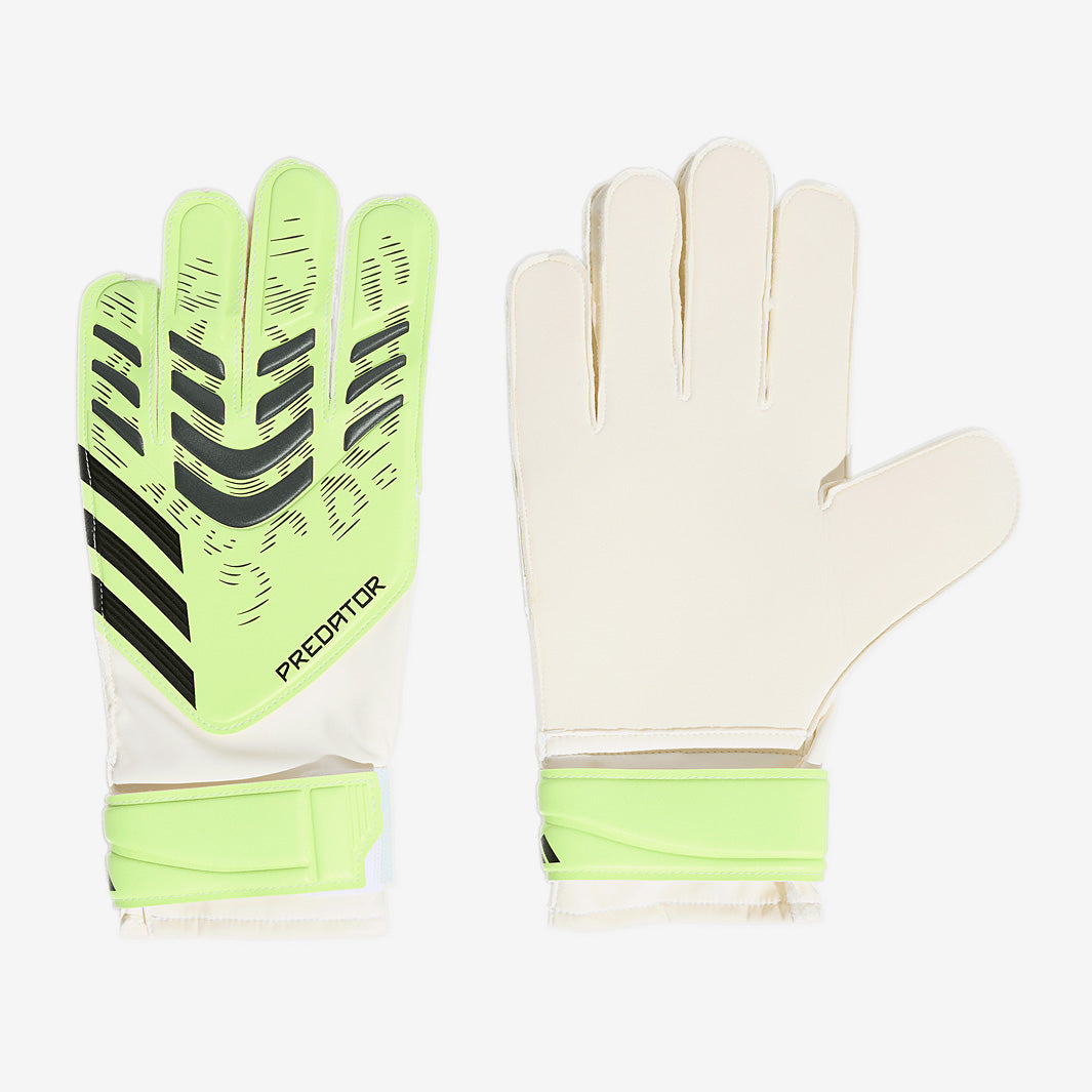 Main