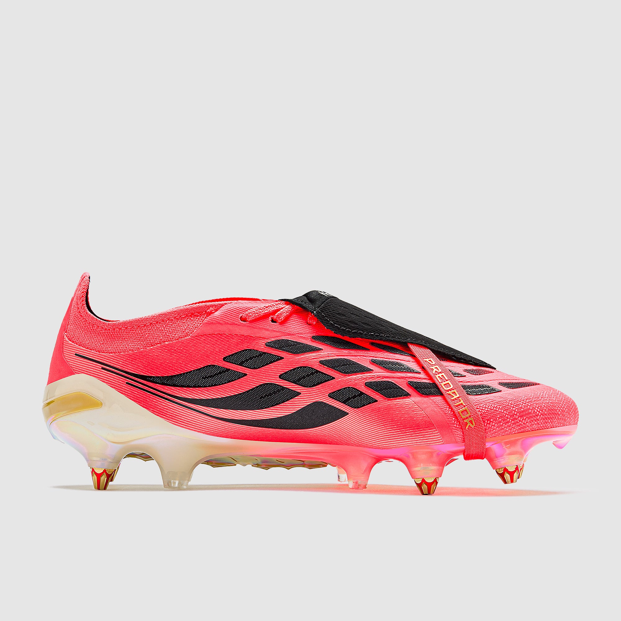 GALLERY_2