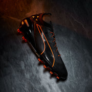 Gallery_1