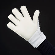 Gallery_2