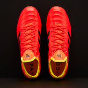 Gallery_5