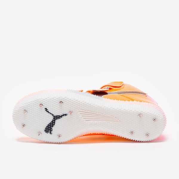 Gallery_3