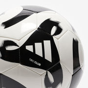 Gallery_1