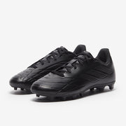 Gallery_5