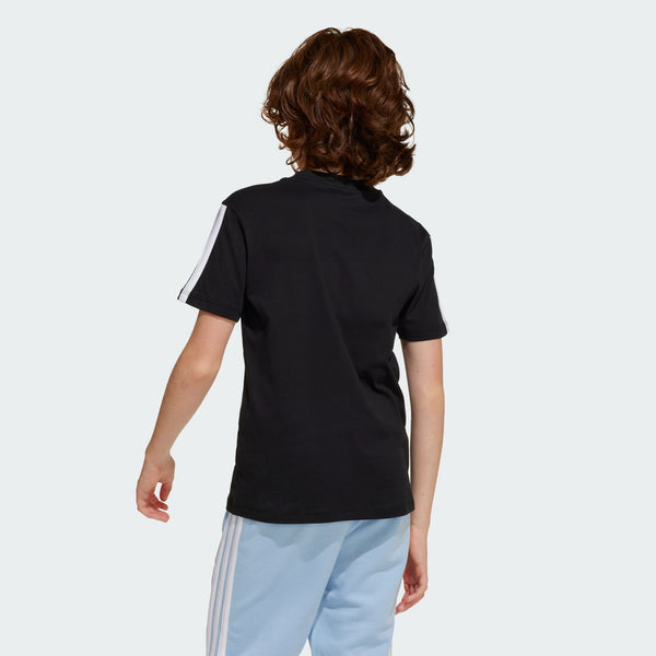 Gallery_2